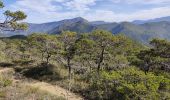 Percorso Marcia Eygluy-Escoulin - tailefer du diois (reco) - Photo 3