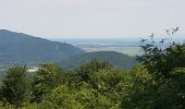 Tocht Stappen Orschwiller - HAUT KOENIGSBOURG - Photo 4