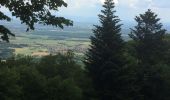 Trail Walking Wattwiller - Wattwiller-Cantine Zeller-Hirtzenstein - Photo 2