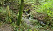 Tour Wandern Bouillon - Les Hayons 2 - Photo 4