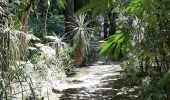 Tour Wandern Menton - les serrés de la Madone - Menton - Photo 7