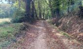 Trail Walking Arzacq-Arraziguet - GR65 Arzacq-Arraziguet > Arthez en Béarn  - Photo 2