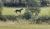 Trail Walking Somme-Leuze - Marche ADEPS à  Baillonville. Beau parcours de 10km400. - Photo 11