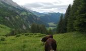 Excursión Senderismo Le Grand-Bornand - Le refuge de la pointe percée  - Photo 9