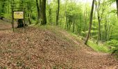 Trail On foot Minden - Kaiser-Wilhelm-Weg A4-PWB - Photo 5