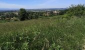 Tocht Stappen Chasselay - Le bois Chatelard - Photo 13