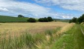 Tocht Stappen Tervuren - Le long du Voer - Photo 4