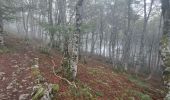 Tour Wandern Ouzous - Pyrénées 2023 Jour 3 - Pic du Pibeste - Photo 11