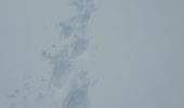 Excursión Raquetas de nieve Modane - Loutraz Amodon - Photo 1