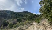 Trail Walking Saint-Laurent-le-Minier - Saint Laurent le minier Pic d’Anjeau - Photo 9