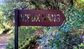Trail Walking Nans-les-Pins - SityTrail -  La source de L' huveaune - Vieux nans - grottes - Photo 6