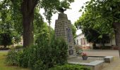 Tour Zu Fuß Straupitz (Spreewald) - Wanderweg Straupitz-Lübben (gelber Balken) - Photo 2