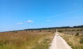 Randonnée Marche Waimes - autour de botrange et du bois de sourbrodt - Photo 15