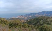 Trail Walking Collioure - madeloc depuis col de la serra, via col de villauria, batterie 500, retour  - Photo 11