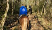 Trail Horseback riding Gresswiller - Triggur gresswiller cva  - Photo 1