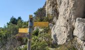 Trail Walking Malaucène - Malaucene-Crestet-Vaison la Romaine  - Photo 12