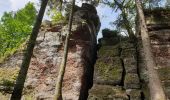 Excursión Senderismo Angomont - Le champ de bataille de la Chapelotte - Photo 2