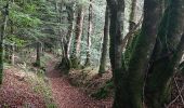 Trail Walking Moustoir-Ac - PR_56_Moustoir-Ac_AA_01_Au-Fil-De-L-Eau_Circuit1b_20231014 - Photo 9
