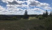 Tour Wandern Bouziès - Vallée du lot - Vallée du Celle - Photo 5