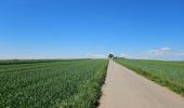 Tour Wandern Goesdorf - Goebelsmühle - Bourscheid - Dirbach - Photo 10