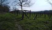 Trail Walking Dalhem - dalhem 4 - Photo 15