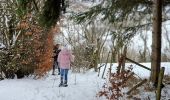 Tocht Sneeuwschoenen Büllingen - Manderfeld (PVDB) - Photo 1