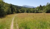 Tocht Stappen La Roche-des-Arnauds - Serigons - Rabou par petit Buëch  - Photo 9