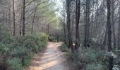 Trail Walking Aix-en-Provence - Prés d'Aix, les barrages de Bimont et Zola - Photo 3