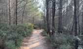 Excursión Senderismo Aix-en-Provence - Prés d'Aix, les barrages de Bimont et Zola - Photo 3