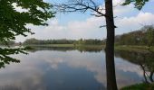 Randonnée A pied Plothen - Naturlehrpfad Dreba-Plothen Erweiterung - Photo 3