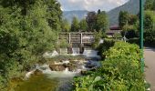 Tour Zu Fuß Lunz am See - Lunz am See - Seekopf - Kasten - Photo 8