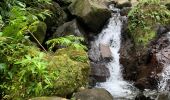 Randonnée Marche nordique Capesterre-Belle-Eau - Chute  - Photo 2