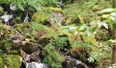 Trail Walking Metzeral - lac de schiessrothried par vallée de la wormsa  - Photo 17