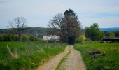 Trail Walking Houyet - Balade autour du Château de Vêves - Celles - Photo 9