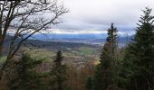 Tour Wandern Sankt Didel - col de crenee rocher du corbeau camps de la bure - Photo 3