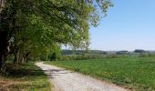 Trail Walking Neufchâteau - Verlaine - Cap au vert - Photo 4