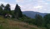 Trail Walking Sentheim - Baerenkopf  - Photo 19