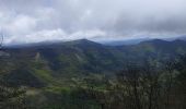 Trail Walking Le Chaffal - La Vacherie Comberoufle pas de la Sausse 19 05 21 - Photo 1