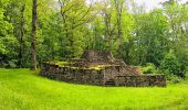 Trail Walking Saints-Geosmes - Boucle 18 km incluant Cohons et la source de la Marne - Photo 9