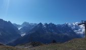 Excursión Senderismo Chamonix-Mont-Blanc - MASSIF DU MONT BLANC: INDEX-LAC BLANC-FLEGERE - Photo 18