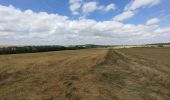 Trail Walking Banteux - canal de saint Quentin / Banteux - Vendhuile ( tunnel de Riqueval ). - Photo 16