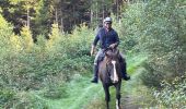 Trail Horseback riding Bastogne - Lutrebois - Photo 1
