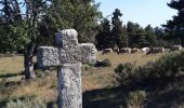 Percorso Marcia Peyre en Aubrac - le rocher du Cher - Photo 20