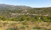 Percorso Mountainbike Allauch - les antennes du garlaban - Photo 1