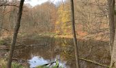 Tocht Te voet Oberbarnim - Naturparkroute Märkische Schweiz - Photo 9