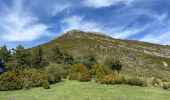 Trail Walking Castellane - Chasteuil - Cadières de Brandis - Photo 9