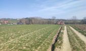 Tour Wandern Gooik - Oetingen - Photo 5
