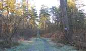 Randonnée Marche Saint-Jean-aux-Bois - en forêt de Compiègne_19_le Puits d'Antin_les Mares St-Louis_La Muette - Photo 16