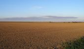 Tocht Te voet Querfurt - Rundweg Hermannseck - Photo 7