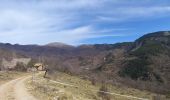 Trail Walking Saint-Léger - Tete de Pibossan Col de Roua depuis ST Leger - Photo 3